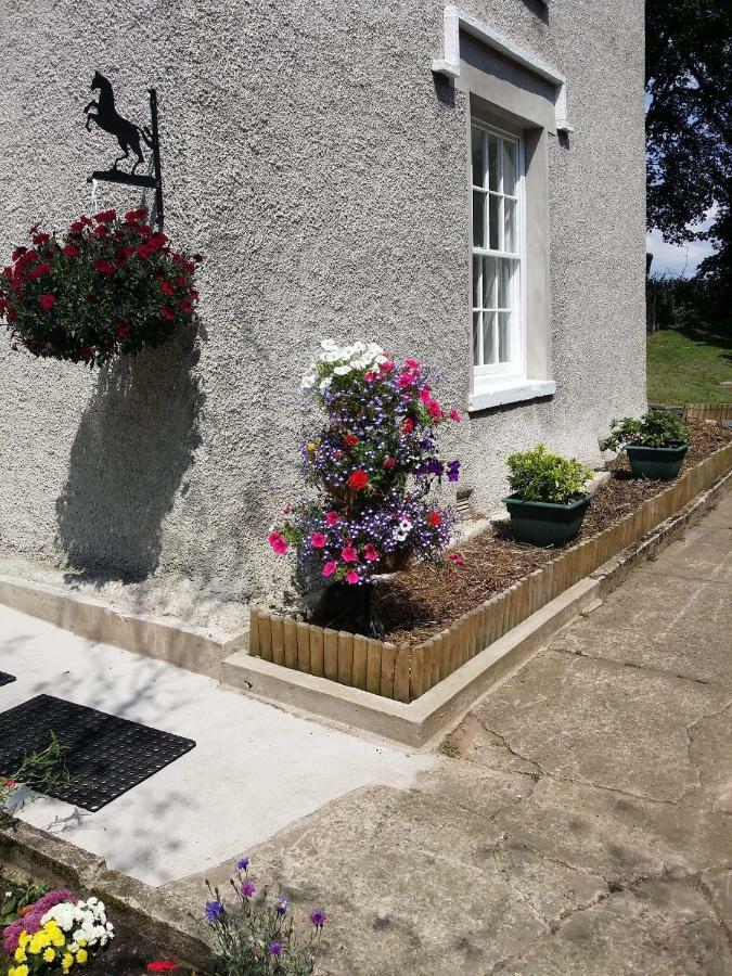 Roosecote Guest House 배로우인퍼니스 외부 사진